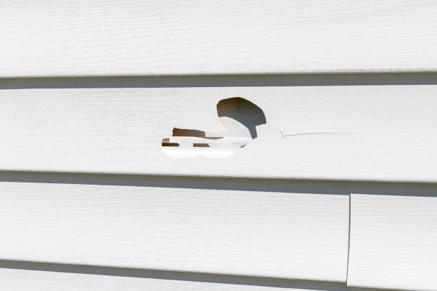 Centuria, WI Siding Installation & Repair Company