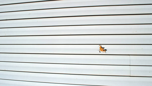 Best Insulated Siding Installation  in Centuria, WI