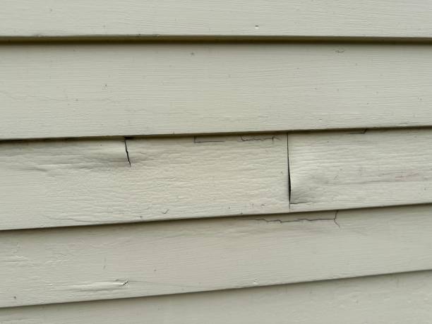 Best Stone Veneer Siding  in Centuria, WI